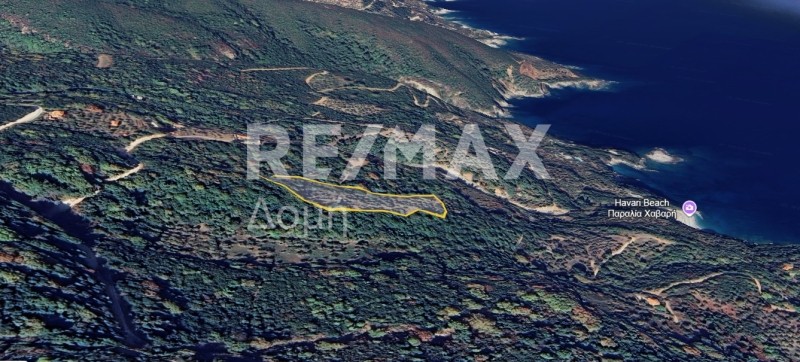 Αγροτεμάχια 5.911 τ.μ. πρός πώληση, Μαγνησία, Αφέτες