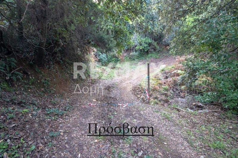 Αγροτεμάχια 5.911 τ.μ. πρός πώληση, Μαγνησία, Αφέτες