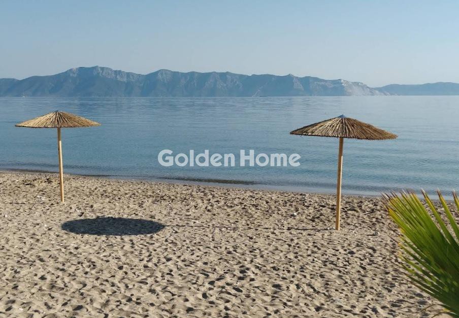 Οικόπεδο 252 τ.μ. για πώληση, Εύβοια, Αρτεμίσιο