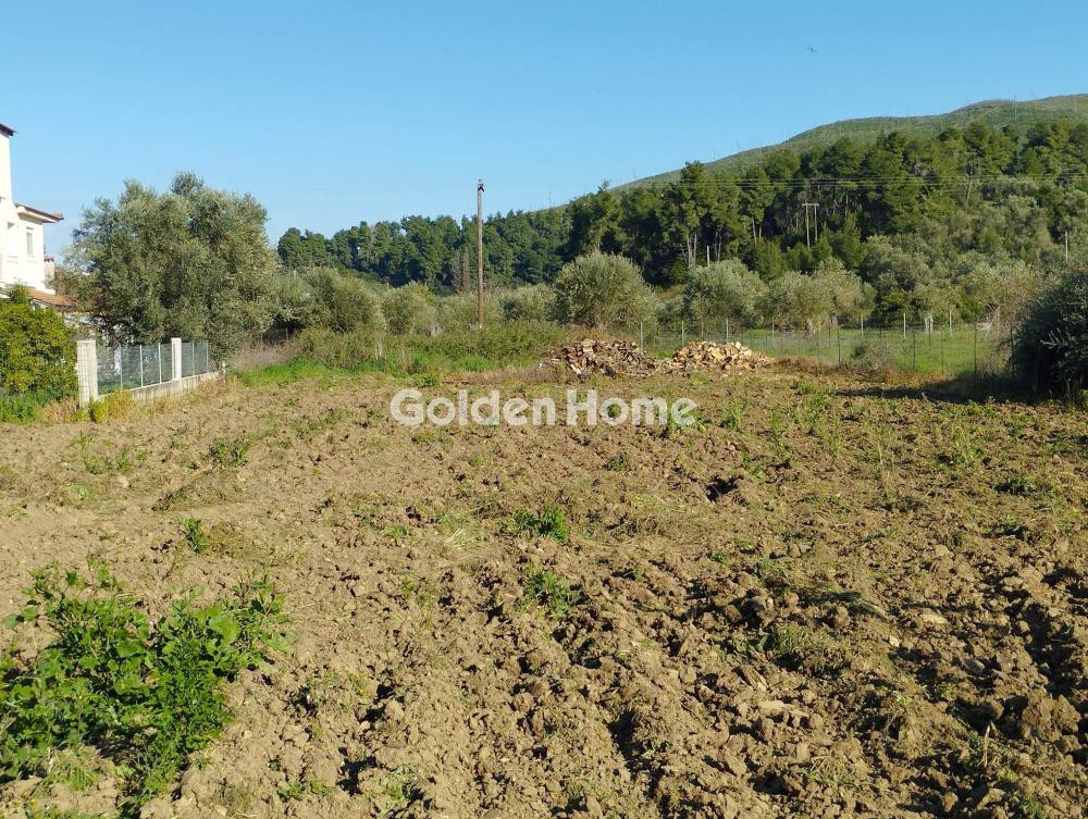Οικόπεδο 1.834 τ.μ. προς πώληση, Ασμήνιο