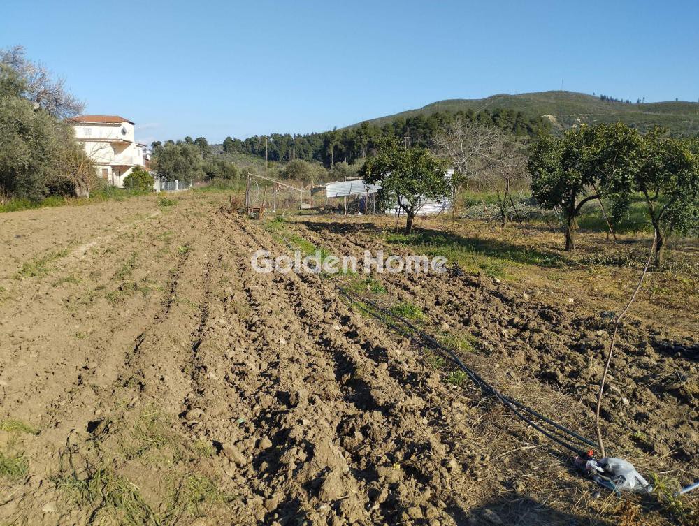 Οικόπεδο 1.834 τ.μ. προς πώληση, Ασμήνιο