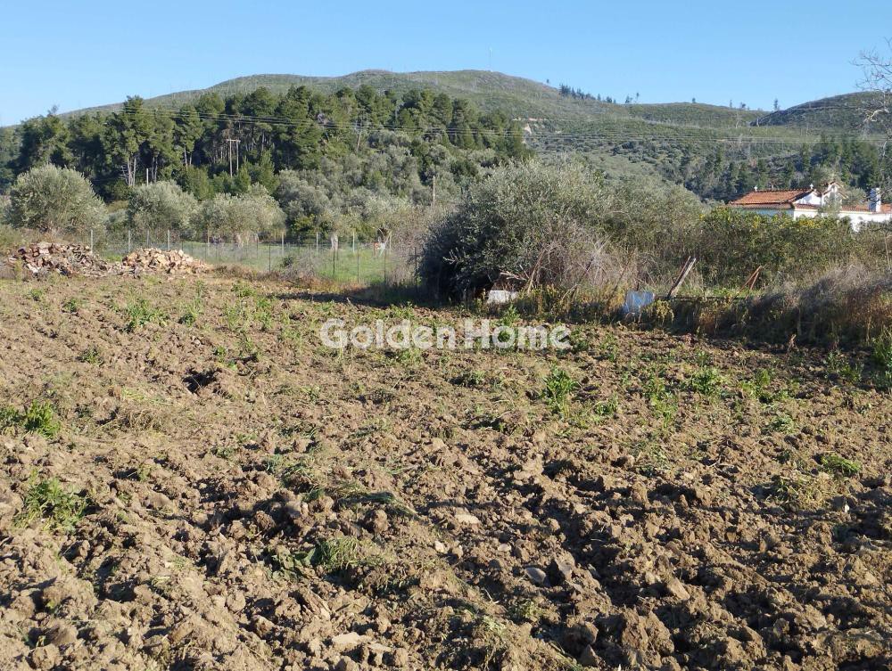 Οικόπεδο 1.834 τ.μ. προς πώληση, Ασμήνιο