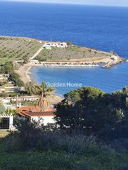Αγροτεμάχια 559 τ.μ. για πώληση