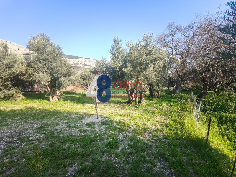 Οικόπεδο 1.457,74 τ.μ. προς πώληση, Ομηρούπολη