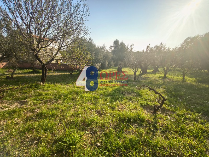 Οικόπεδο 1.457,74 τ.μ. προς πώληση, Ομηρούπολη