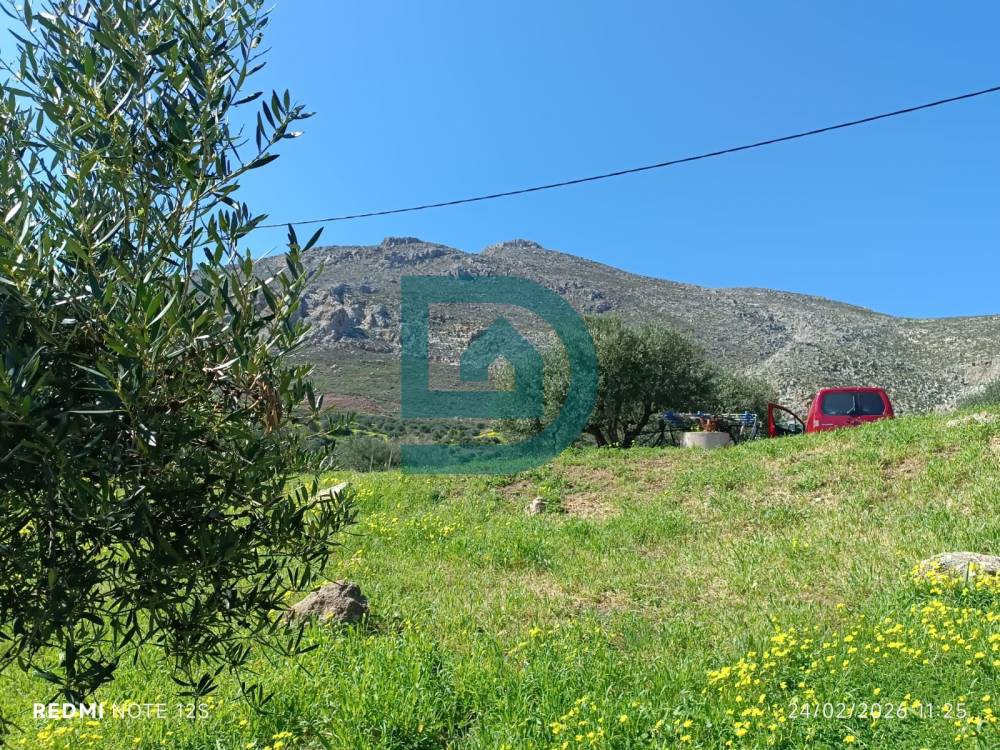 Οικόπεδο 690 τ.μ. πρός πώληση, Ν. Λασιθίου, Ίτανος