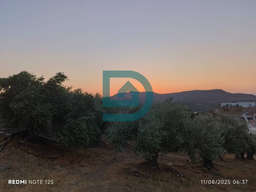 Οικόπεδο 690 τ.μ. πρός πώληση, Ν. Λασιθίου, Ίτανος
