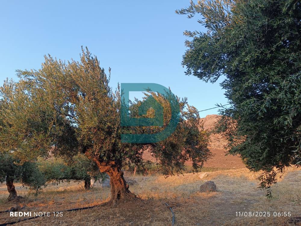 Οικόπεδο 690 τ.μ. πρός πώληση, Ν. Λασιθίου, Ίτανος