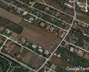 Αγροτεμάχια 15.000 τ.μ. για ενοικίαση