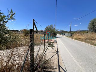 Αγροτεμάχια 2.400 τ.μ. για πώληση, Ν. Καβάλας, Ελευθερές-thumb-2