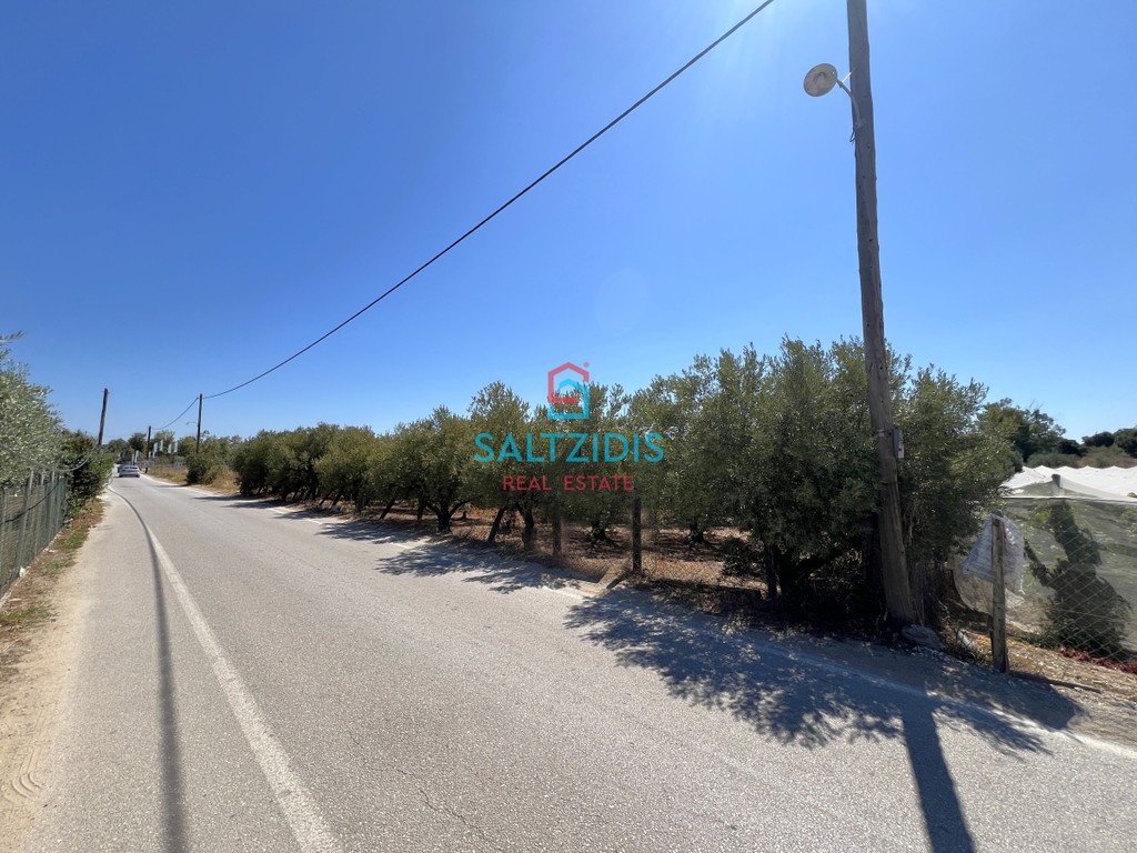 Αγροτεμάχια 3.562 τ.μ. για πώληση, Ν. Καβάλας, Ελευθερές