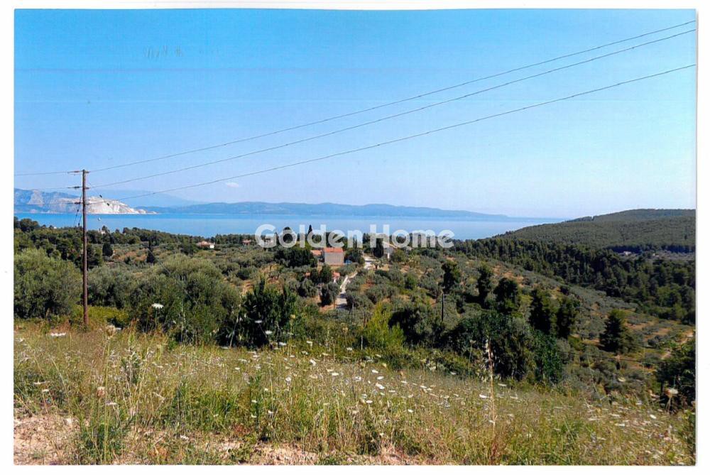 Αγροτεμάχια 48.000 τ.μ. προς πώληση, Αιτωλοακαρνανία, Κεκροπία (παλαίρου)