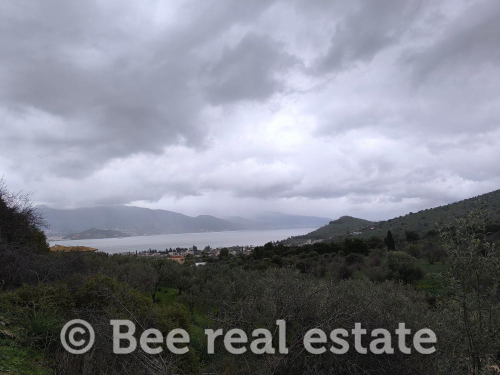 Αγροτεμάχια 4.050 τ.μ. προς πώληση, Νέες Παγασές