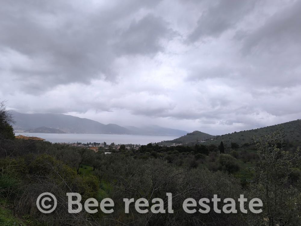 Αγροτεμάχια 4.050 τ.μ. προς πώληση, Νέες Παγασές