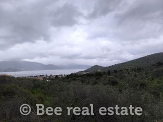 Αγροτεμάχια 4.050 τ.μ. για πώληση