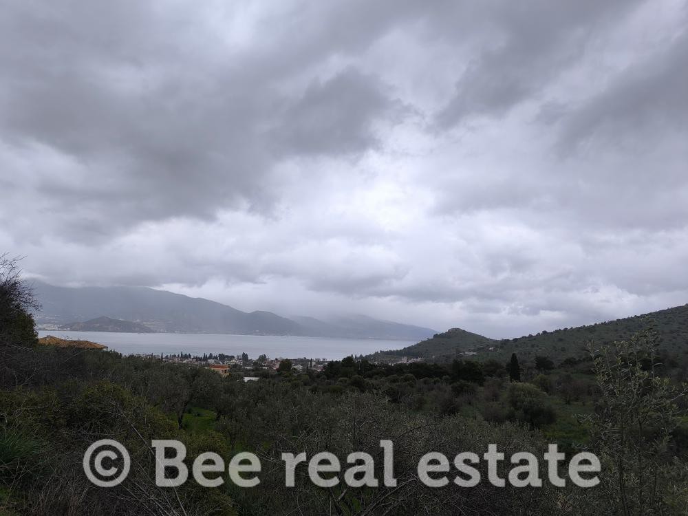 Αγροτεμάχια 4.050 τ.μ. προς πώληση, Νέες Παγασές