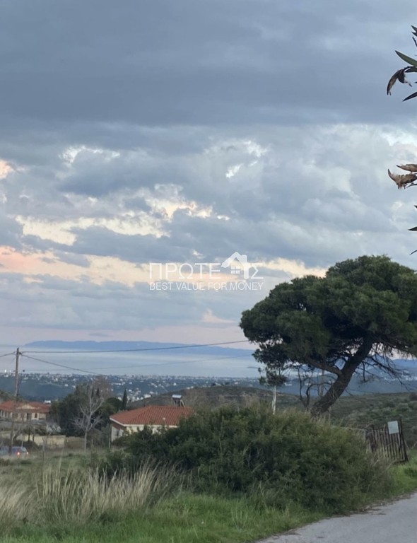 Μονοκατοικία 100 τ.μ. πρός ενοικίαση, Αθήνα - Βόρεια Προάστια, Πεντέλη
