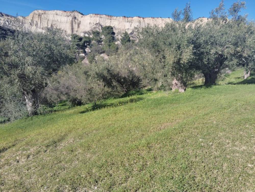 Αγροτεμάχια 2.018 τ.μ. πρός πώληση, Κορινθία, Ξυλόκαστρο