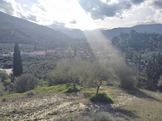 Αγροτεμάχια 2.018 τ.μ. για πώληση