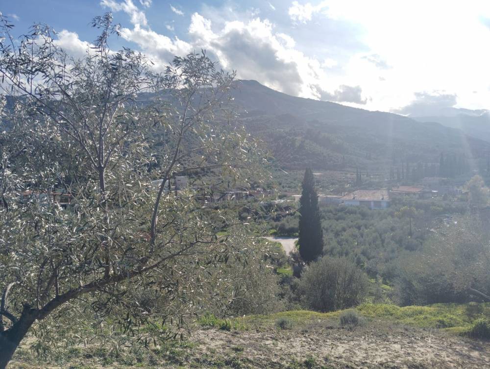 Αγροτεμάχια 2.018 τ.μ. πρός πώληση, Κορινθία, Ξυλόκαστρο