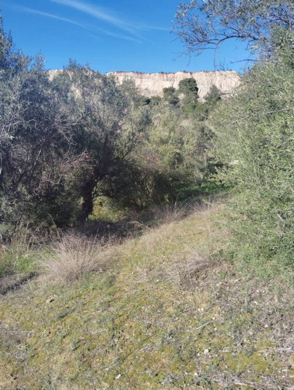 Αγροτεμάχια 2.018 τ.μ. πρός πώληση, Κορινθία, Ξυλόκαστρο