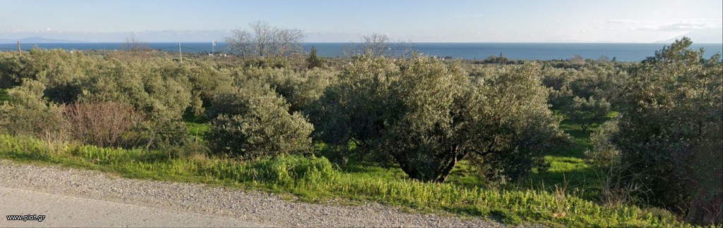 Αγροτεμάχια 2.735 τ.μ. πρός πώληση, Εβρος, Αλεξανδρούπολη