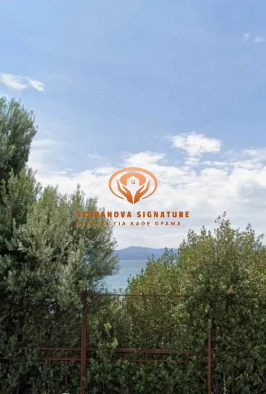 Οικόπεδο 75.500 τ.μ. πρός πώληση, Εύβοια, Ερέτρια