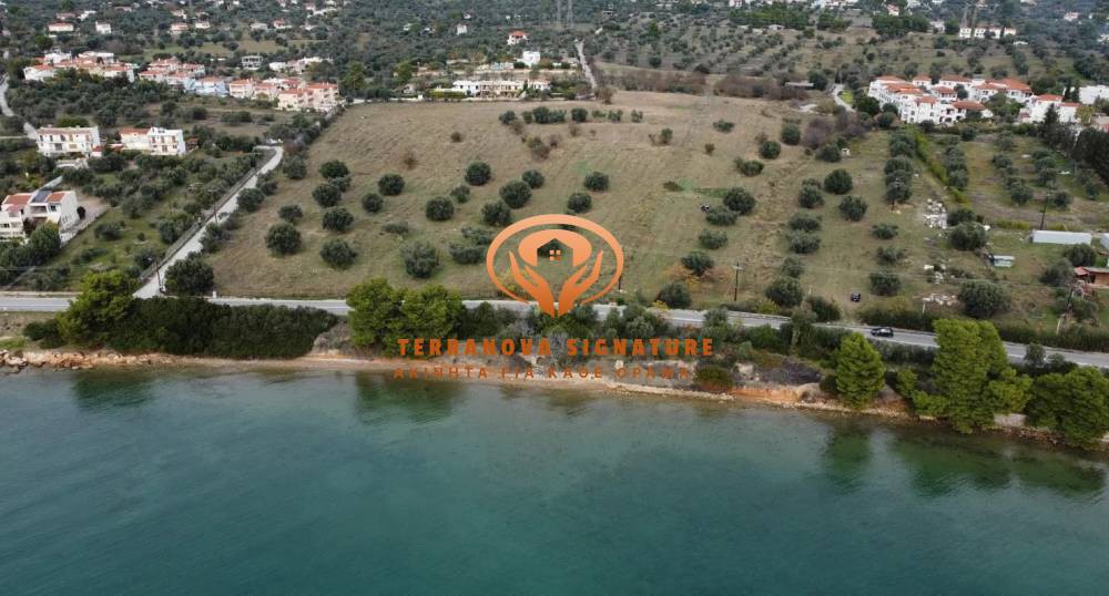 Οικόπεδο 75.500 τ.μ. πρός πώληση, Εύβοια, Ερέτρια
