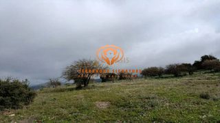 Αγροτεμάχια 13.200 τ.μ. για πώληση, Αρκαδία, Βαλτέτσι-thumb-6