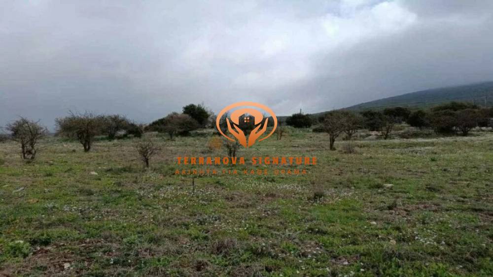 Αγροτεμάχια 13.200 τ.μ. πρός πώληση, Αρκαδία, Βαλτέτσι