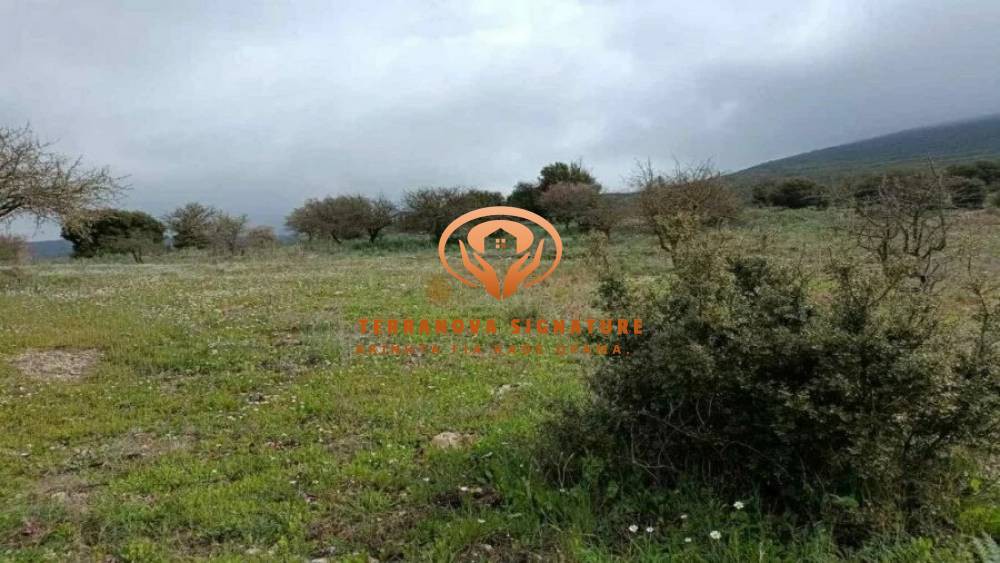 Αγροτεμάχια 13.200 τ.μ. πρός πώληση, Αρκαδία, Βαλτέτσι