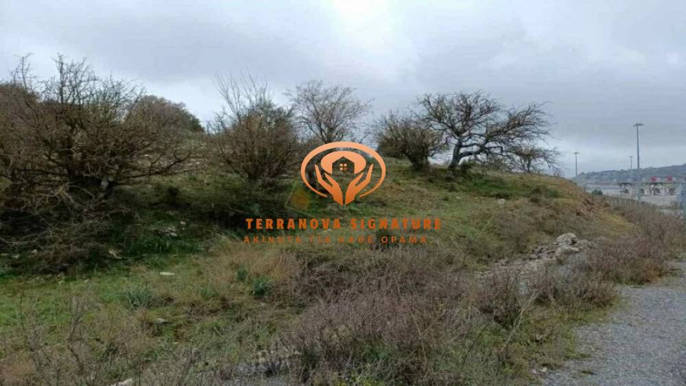 Αγροτεμάχια 13.200 τ.μ. πρός πώληση, Αρκαδία, Βαλτέτσι