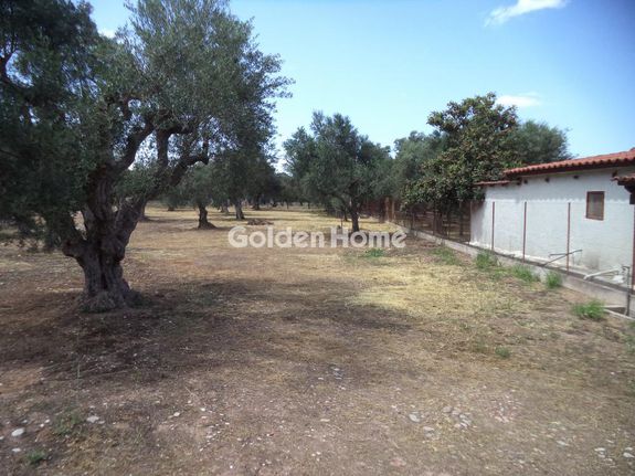 Parcel 2.654 sqm for sale, Achaia, Diakopto