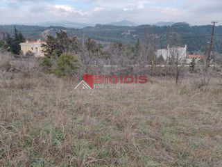 Αγροτεμάχια 6.000 τ.μ. για πώληση, Ν. Σερρών, Σέρρες-thumb-5