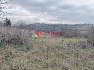 Αγροτεμάχια 6.000 τ.μ. για πώληση, Ν. Σερρών, Σέρρες-thumb-10