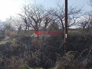 Αγροτεμάχια 6.000 τ.μ. για πώληση, Ν. Σερρών, Σέρρες-thumb-4