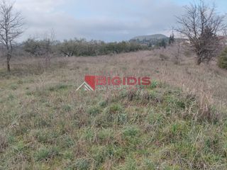 Αγροτεμάχια 6.000 τ.μ. για πώληση, Ν. Σερρών, Σέρρες-thumb-20