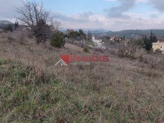 Αγροτεμάχια 6.000 τ.μ. για πώληση, Ν. Σερρών, Σέρρες-thumb-6