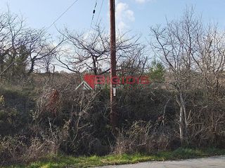 Αγροτεμάχια 6.000 τ.μ. για πώληση, Ν. Σερρών, Σέρρες-thumb-3