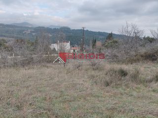 Αγροτεμάχια 6.000 τ.μ. για πώληση, Ν. Σερρών, Σέρρες-thumb-12