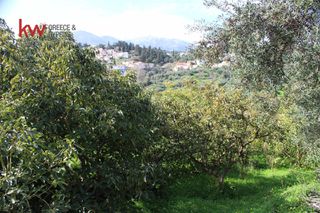 Οικόπεδο 830,29 τ.μ. προς πώληση, Νεροχώρι Φρε-thumb-14