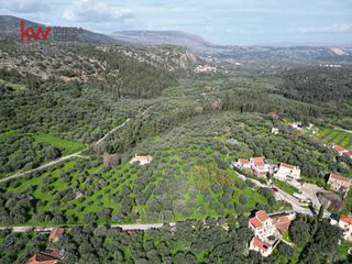 Οικόπεδο 830,29 τ.μ. προς πώληση, Νεροχώρι Φρε-thumb-9