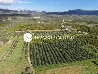 Αγροτεμάχια 5.972 τ.μ. για πώληση, Αργολίδα, Κουτσοπόδι-thumb-6