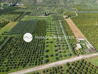 Αγροτεμάχια 5.972 τ.μ. για πώληση, Αργολίδα, Κουτσοπόδι-thumb-2