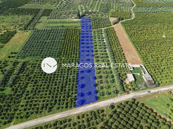 Αγροτεμάχια 5.972 τ.μ. για πώληση, Αργολίδα, Κουτσοπόδι