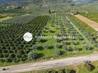Αγροτεμάχια 5.972 τ.μ. για πώληση, Αργολίδα, Κουτσοπόδι-thumb-5