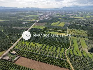 Αγροτεμάχια 5.972 τ.μ. για πώληση, Αργολίδα, Κουτσοπόδι-thumb-4