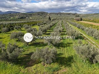 Αγροτεμάχια 5.972 τ.μ. για πώληση, Αργολίδα, Κουτσοπόδι-thumb-11