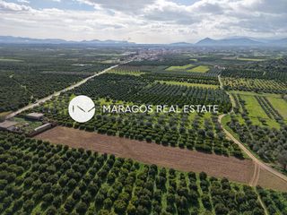 Αγροτεμάχια 5.972 τ.μ. για πώληση, Αργολίδα, Κουτσοπόδι-thumb-13