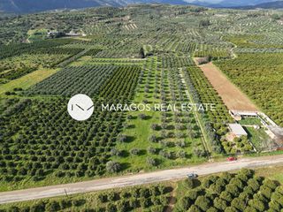 Αγροτεμάχια 5.972 τ.μ. για πώληση, Αργολίδα, Κουτσοπόδι-thumb-1